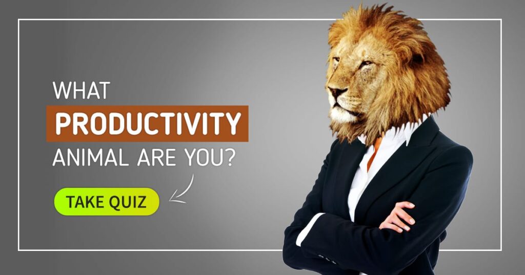 productivity animal quiz